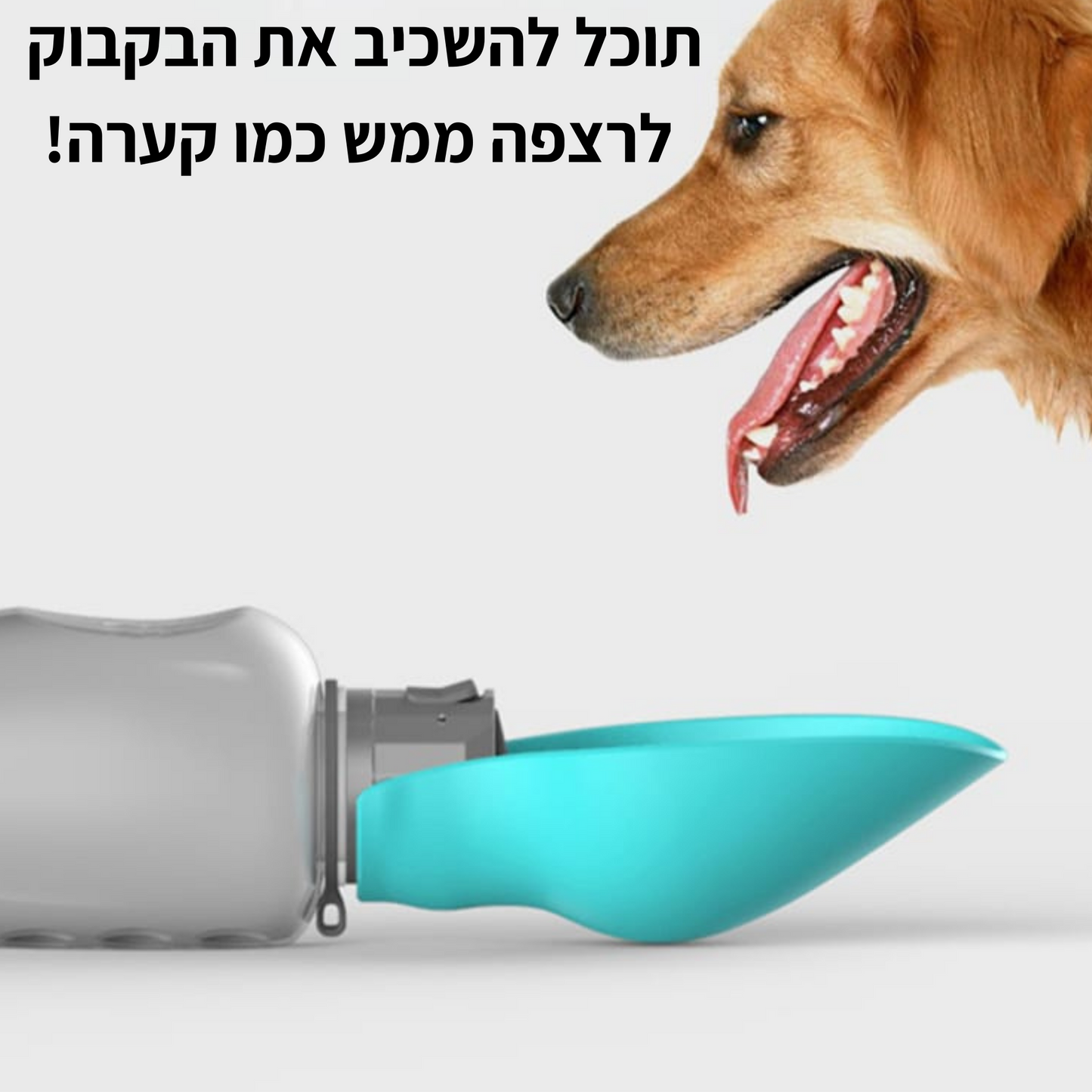 בקבוק מים לכלבים עם קערת שתייה מתקפלת